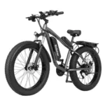 Electric Bicycles